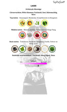 Afbeelding in Gallery-weergave laden, Tapparfum LA500 TAP40069